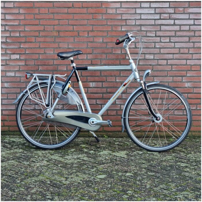 Gazelle Chamonix Plus Heren