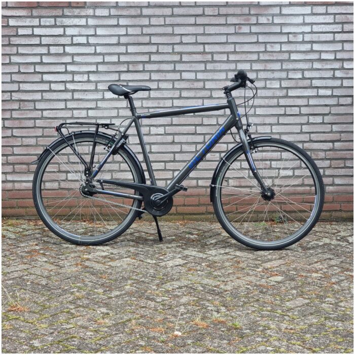 Victoria Trekking 3.4 Heren