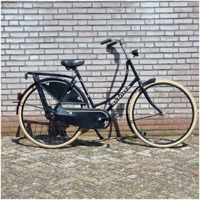 Gazelle Basic Lage instap